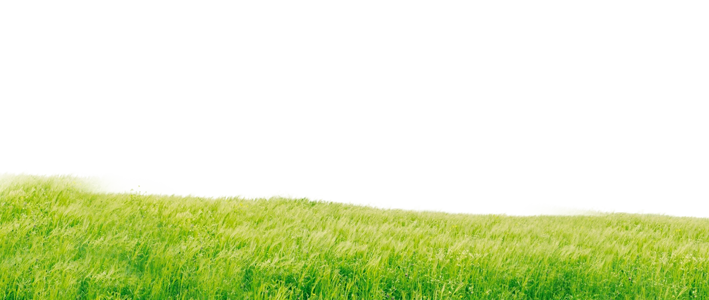 Green environment